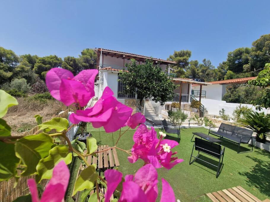 Elmy Houses V4 / Thalia Rafina  Exterior photo